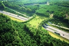 Wildlife Overpasses Around The World: Working With Nature, Not Against