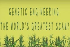 Genetic engineering: The world’s greatest scam?