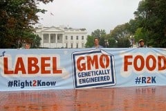 Activism Forces Whole Foods to Adopt Mandatory GMO Labeling