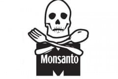 Monsanto Protection Act Proves Corporations More Powerful Than US Government