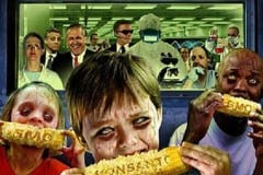 Former Pro-GMO Scientist Speaks Out On The Real Dangers of GMO’s