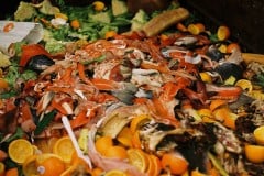 Tips for Understanding and Avoiding Food Waste