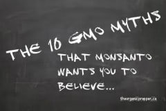The 10 GMO Myths That Monsanto Wants You To Believe