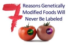 7 Reasons Why Genetically Modified Foods Will Never Be Labeled