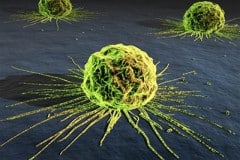 Why Medicine Won’t Allow Cancer to Be Cured