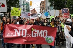 Kellogg, Pepsi, Kraft & Coke Drop GMOs in Europe, but Keep Feeding it to USA