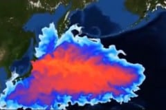 Fukushima: Your Days of Eating Pacific Ocean Fish Are Over