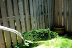 Chlorella: Superfood with Detoxing Capabilities