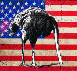 FredaAmericanOstrichAmerican Ostrich - Anthony Freda Illustration