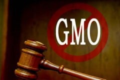 Total GMO Ban To Be Considered By Russia Within Weeks