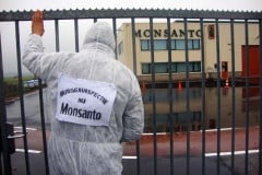 We Are Winning The Fight Against Monsanto