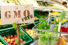 5 Tips on How to Avoid GMO Foods in the Grocery Store