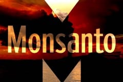 3 Ways Monsanto Threatens Our Planet (And What To Do About It)