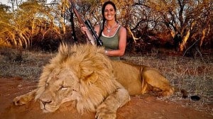 Hardcore huntress: The photograph of a smiling Melissa Bachman and the slain lion that has outraged people around the world. Photo: Twitter