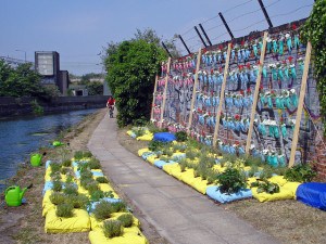 A colorful canal-side urban gardening project. Credit: diamondgeezer, Flickr