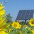 The First City to Embrace Solar Powered Gardens