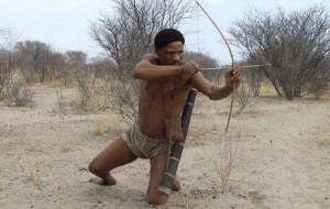 Bushmen have hunted to feed their families for thousands of years
