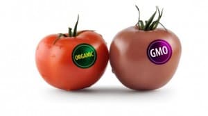 organic-gmo
