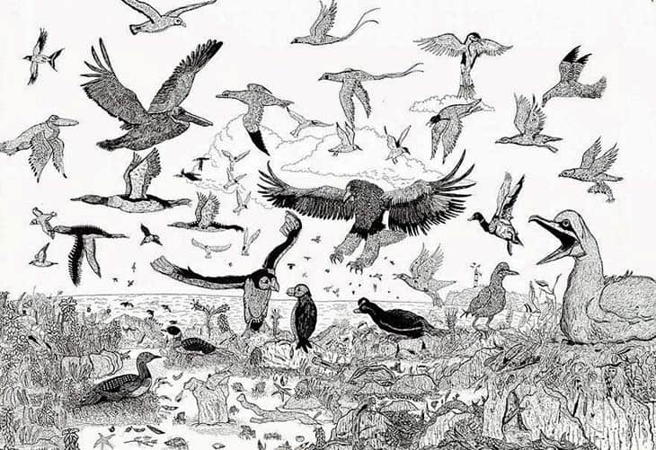 11-Year-Old Child Prodigy Creates Stunningly Detailed Drawings Bursting With Life (6)