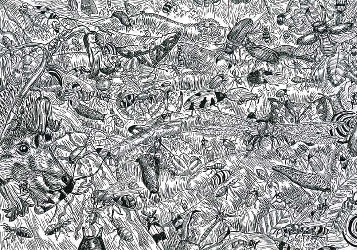 11-Year-Old Child Prodigy Creates Stunningly Detailed Drawings Bursting With Life (7)