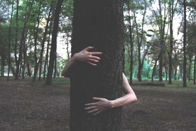 tree hug