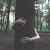 Science Proves Hugging Trees Is Good for Health