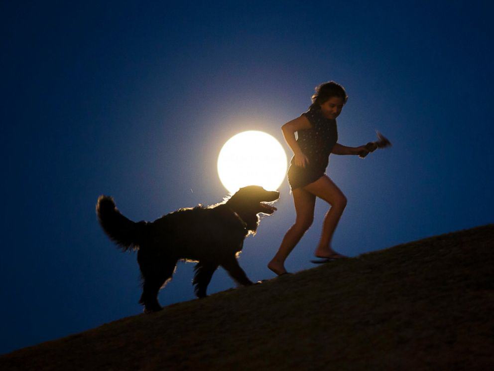 A girl plays with a dog as a perigee moon, also known as a supermoon, rises in Madrid, Aug. 10, 2014. Andres Kudacki/AP Photo