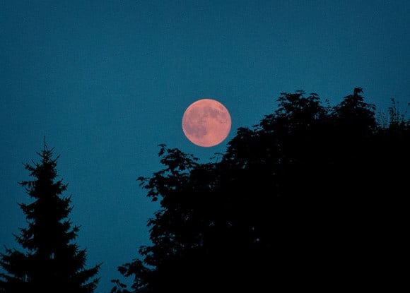 ‘Super’ Moon, August 10, 2014, taken with Nikon D80 from Ottawa, Canada. Credit and copyright: Andrew Symes.