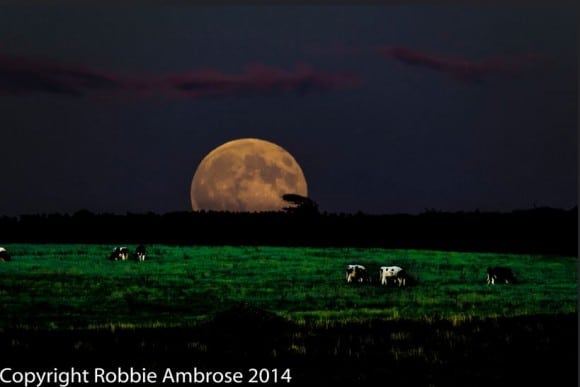 The August 10, 2014 ‘super’ Moon. Credit and copyright: Robbie Ambrose.