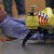 Inventor Develops Ambulance Drones That Save Lives Instead of Taking them