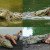 This Wild Crocodile’s Amazing Human Friendship Will Make You Question Everything You Know About Animals