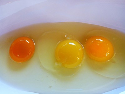 egg-yolk-colors