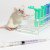 This Virtual Mouse Brain Has Potential To End Animal Testing Forever