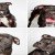 This Shelter Took Its Dogs To a PhotoBooth To Get Them Adopted – And It Worked!