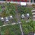 France Declares All New Rooftops Must Be Topped With Plants Or Solar Panels