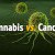 Watch As THC Destroys Cancer Cell’s