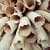 Breaking: Hong Kong Announces Plan To Ban The Ivory Trade