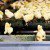 Watch What Happens When Activists Dare A Cop To Turn On The Machine That Grinds Baby Chicks…
