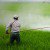 Monsanto Invests Billions In New Carcinogenic Herbicide To Replace RoundUp