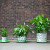 Awesome ‘Origami’ Pots Grow With Your Plants