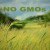 Scotland Completely Bans GMO Crops