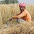 25,000 Indian Farmers Threatening Mass Suicide After Government Destroyed Land