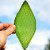 (New) Artificial Leaf Capable Of Producing Oxygen Could Make Living In Space A Reality!