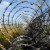 Manufacturers Refusing To Sell Hungary Razor Wire For Their Anti-Refugee Fences