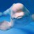 2-Year-Old Beluga Whale Dies In Captivity At SeaWorld Park