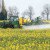 Feds Used Monsanto-Funded Studies To Determine Glyphosate-Containing Weedkillers Are Safe
