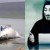 Anonymous Just Shut Down This Nation’s Websites For Killing Whales