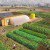 “Farm From A Box” Equips Communities With The Tools Needed To Grow Food Off-Grid