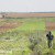 Israeli Army Admits To Using Pesticides As A Weapon Of War In The Middle East