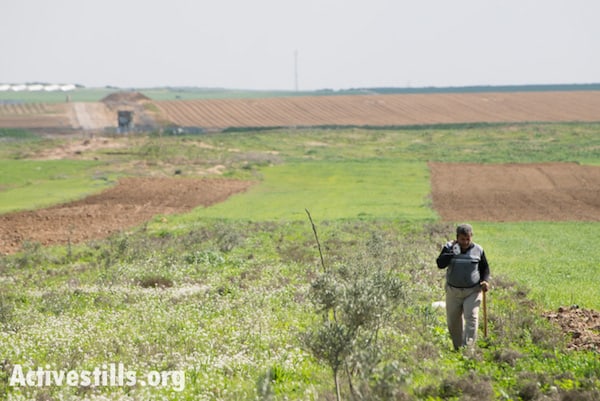 A Palestinian farmer walks through fields near Gaza's eastern border, Al Montar, February 17, 2014. An Israeli military post is seen in the distance to the left, with the border indicated by the dark green areas passing through it. Credit: Ryan Rodrick Beiler/Activestills.org